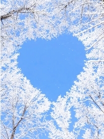 ���ε����β���