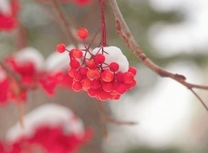 ���ε����β���