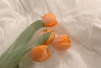 ���肪��...