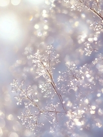 ���ε����β���