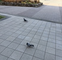 �s��̒�����