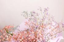 �����܂��̉摜