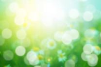 ���ε����β���