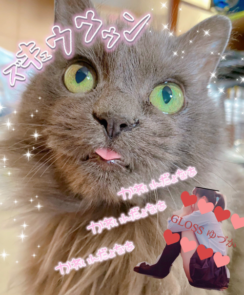 L̓Ă΂