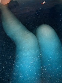 �u���O�摜