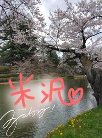 �u���O�摜