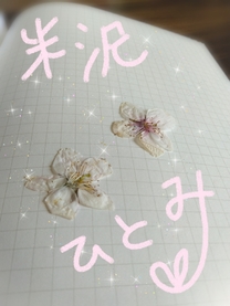 �u���O�摜