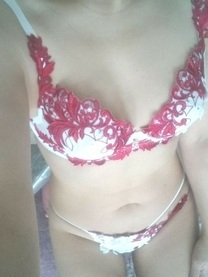 ����F���C�ɓ���̉�...