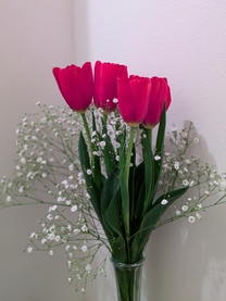 ���ε����β���