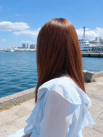 �u���O�摜