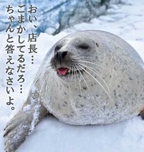 uO摜