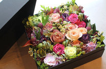 �u���O�摜