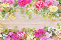 ���ε����β���