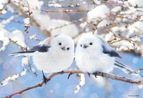 ���͂悤�������܂�