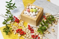 ���ε����β���