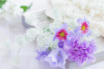 ���ε����β���