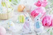 ���ε����β���