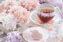 ���ε����β���