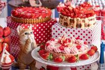 ���ε����β���