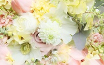 �ߌ�̃��s�l