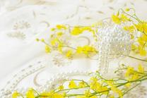 ���ε����β���