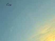 ���ε����β���