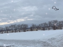 ���ε����β���