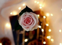 ���ε����β���