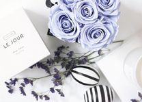 ���ε����β���