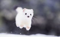 ���ε����β���