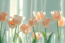 ���ε����β���