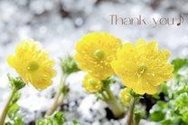 ���ε����β���