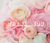 ���ε����β���