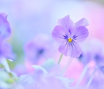 ���͂悤�������܂�