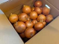 ���ε����β���