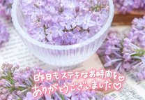 �u���O�摜