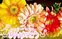 �u���O�摜