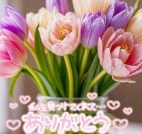 �u���O�摜