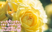 �u���O�摜