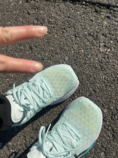 ＃お題：春になったら始めたい事は？の画像