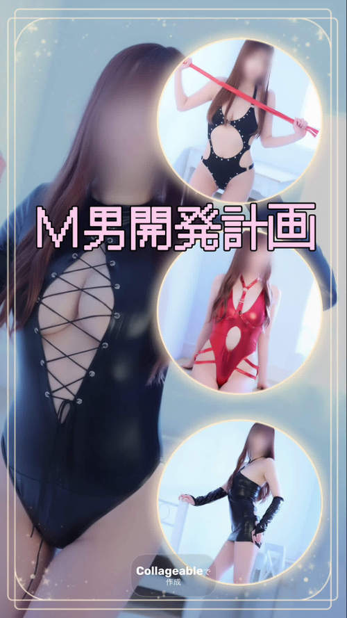 �~�c�L�yHAREM�R�[�X�z