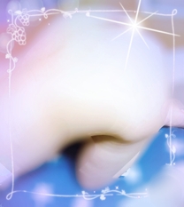 �u���O�摜