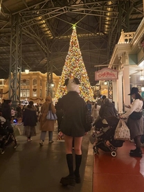 �u���O�摜