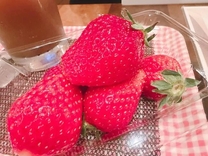 �u���O�摜