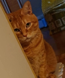 ���͂��x...