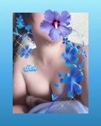 �u���O�摜