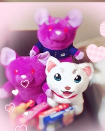 �u���O�摜