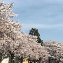 �u���O�摜