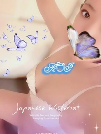 �u���O�摜