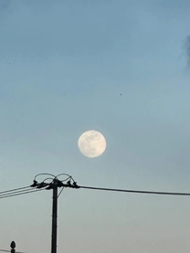 ����ɂ���